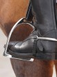 Ooteman Paardensport