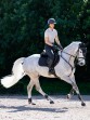 Ooteman Paardensport