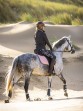 Ooteman Paardensport