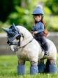 Ooteman Paardensport
