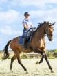 Ooteman Paardensport