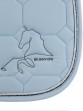Ooteman Paardensport