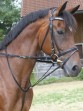 Ooteman Paardensport
