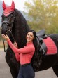 Ooteman Paardensport
