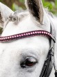 Ooteman Paardensport