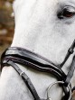 Ooteman Paardensport
