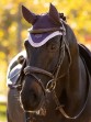 Ooteman Paardensport