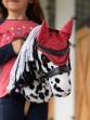 Ooteman Paardensport