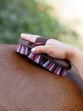 Ooteman Paardensport