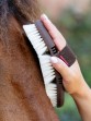 Ooteman Paardensport