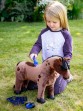 Ooteman Paardensport