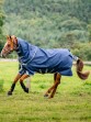 Ooteman Paardensport