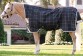 Ooteman Paardensport