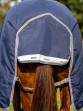 Ooteman Paardensport