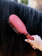 Ooteman Paardensport