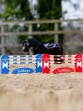 Ooteman Paardensport