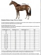 Ooteman Paardensport