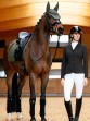 Ooteman Paardensport