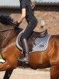 Ooteman Paardensport