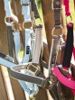 Ooteman Paardensport