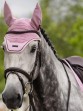 Ooteman Paardensport