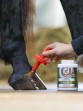 Ooteman Paardensport