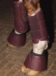 Ooteman Paardensport
