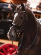 Ooteman Paardensport