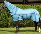 Ooteman Paardensport