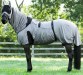 Ooteman Paardensport