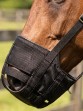 Ooteman Paardensport