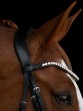 Ooteman Paardensport
