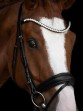 Ooteman Paardensport
