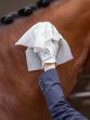 Ooteman Paardensport