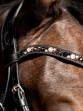 Ooteman Paardensport