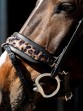 Ooteman Paardensport