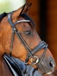 Ooteman Paardensport
