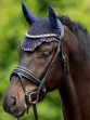 Ooteman Paardensport