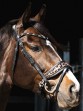 Ooteman Paardensport