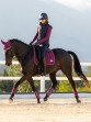Ooteman Paardensport