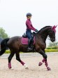 Ooteman Paardensport
