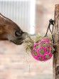 Ooteman Paardensport
