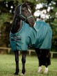 Ooteman Paardensport