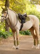 Ooteman Paardensport