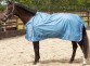 Ooteman Paardensport