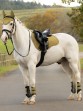 Ooteman Paardensport