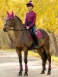 Ooteman Paardensport