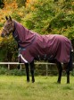Ooteman Paardensport