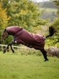 Ooteman Paardensport