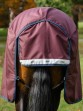 Ooteman Paardensport